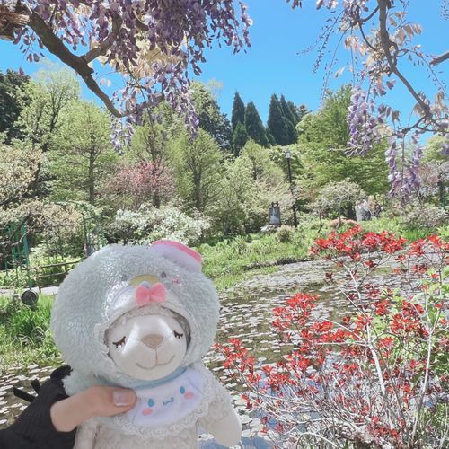 ガーデンミュージアムとても良かった💐