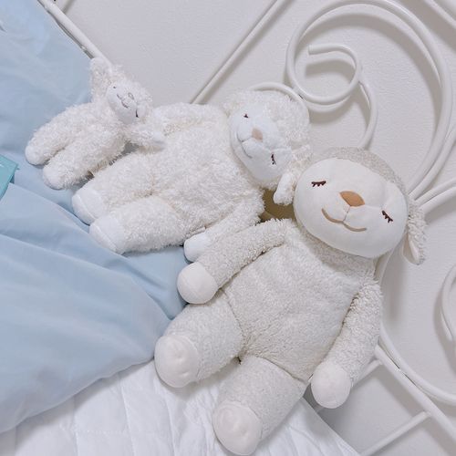 新しい家族だよ！🐑🪽🤍
ふわふわでかわいいね⋆⸜♡⸝‍⋆