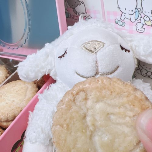 缶目当てでクッキー買った🍪
うまうまひつじ🍪
