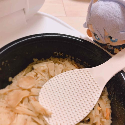 このしゅうまつは監督生さんと炊き込みご飯をつくっていました。
マイタケがたくさん入っているのでジェイドが喜びそうですね...
