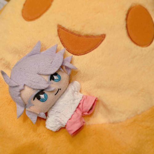 監督生さんが取って帰ってきました💫