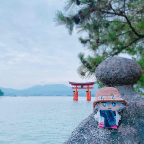 あけましておめでとうございます。
監督生さんと初詣に行ってきました⛩
海に浮かぶ鳥居はなんだかふしぎですね
