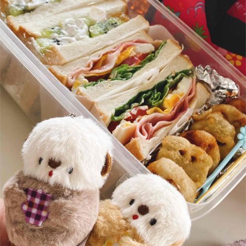 主が頑張ってお弁当作ってました。
料理が下手すぎてキウイの皮剥きが出来ただけで喜んでました🦦