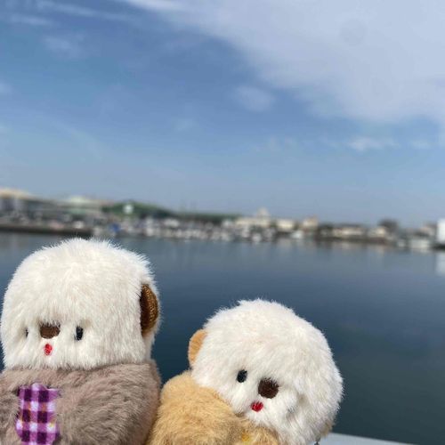 港です🦦
ブルベリちゃんがお泊まりに来てて嬉しいです