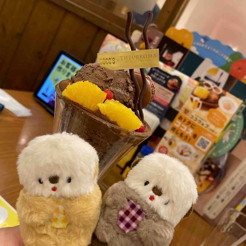 すごいチョコレートパフェです🍫
鼻血が出そうです🦦