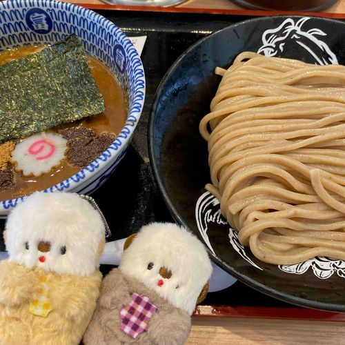 暑い日はやっぱりつけ麺がいいです🦦