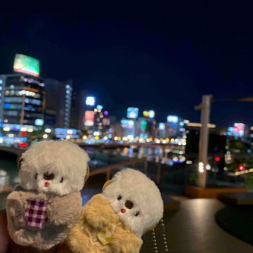 中洲？という場所に行きました。
ギラギラしてました🦦