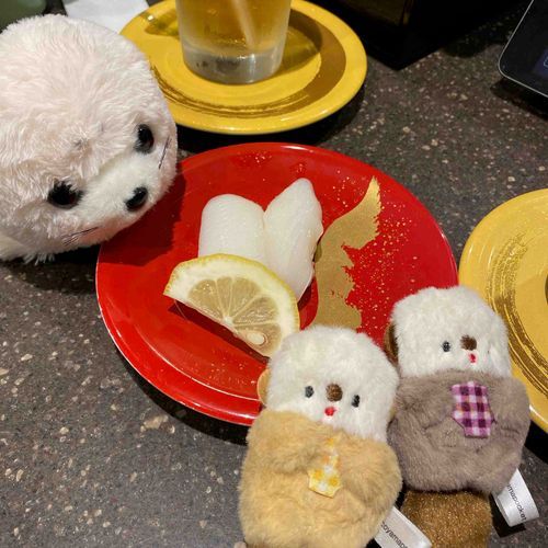 福岡のお寿司です🍣
福岡は食べ物が美味しいと主がいっぱい食べてました🦦