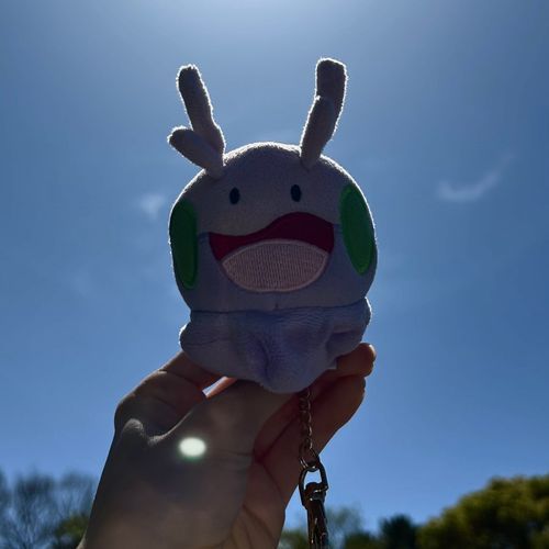 皆既ヌメ食☀️