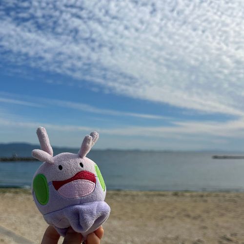 海までドライブしてきたヌメ！