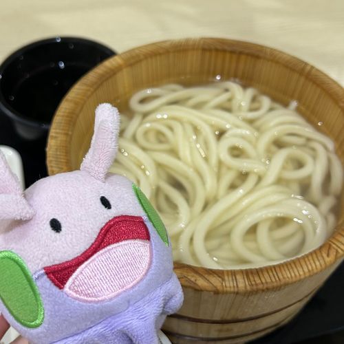 主さん、うどん好きヌメね〜
