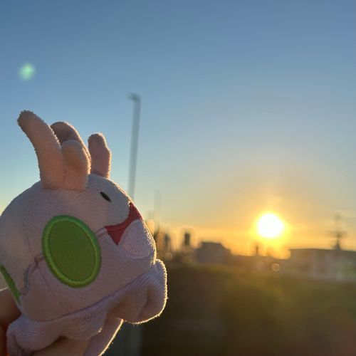 太陽に吠えるヌメ！