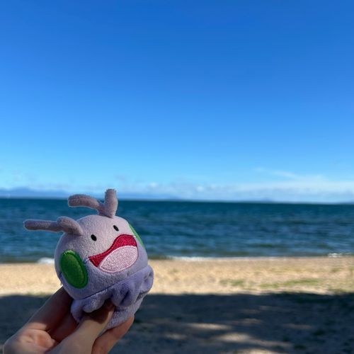 海じゃなくて琵琶湖だよ、ヌメラ