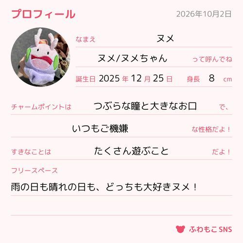 プロフィール帳作りましたヌメ！