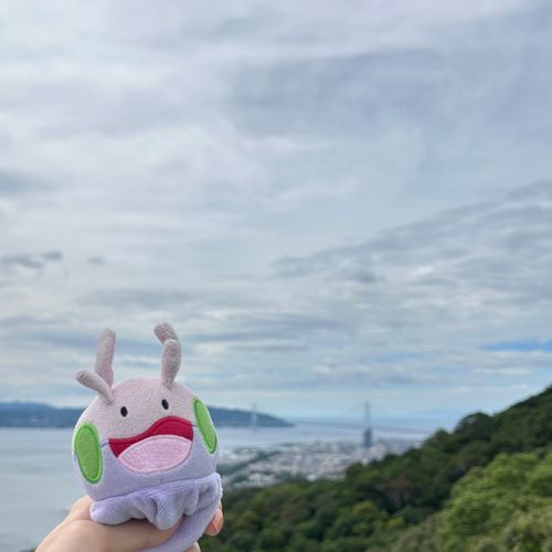 明石海峡大橋が見えたヌメ！