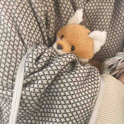 ひとめぼれされた