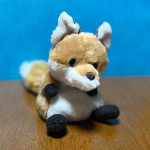 せんざいしゃしん とられた