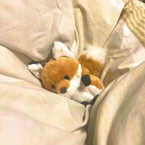 きょうはもう ここでねる
