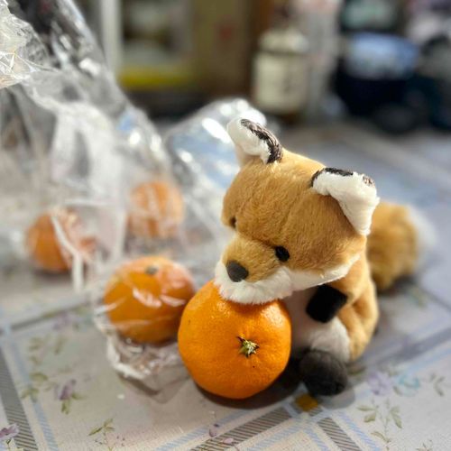 すこし すっぱい