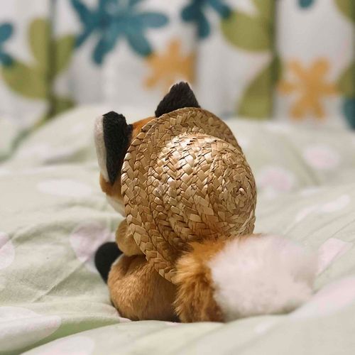 ニュー ぼうし