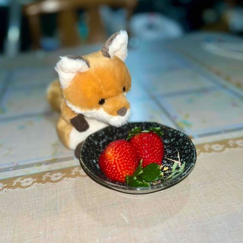 でかいね