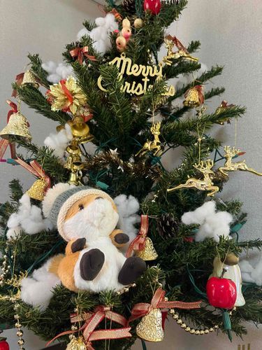 クリスマスのおもいで