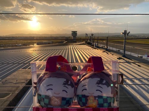 弟ズ(っ◜◡◝ｃ)🧸🐥
「すっかり夕方です☺️✨」
(16：04)