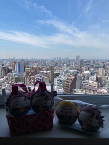 🙋‍♀️
「またいつか泊まりたいな‼️」
ふわ達
「富士山バイバイ👋」
(今の時間帯はほぼ見えず)