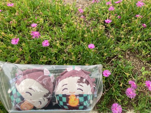 🙋‍♀️
「ポケ活の為地元を徘徊中🚶‍♀️過疎ってるのでバトルが成立せず😅」
「お兄(っ◜◡◝ｃ)ちゃん達のポーチに入ってるからか...歩くたび次男(っ◜◡◝ｃ)🧸ちゃんは中で回転してる💦」
