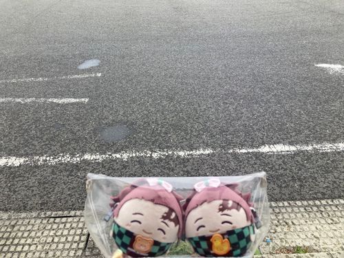 🙋‍♀️
「予報より早く雨降ってきたー☔撤収🫡遠回り経由バスで家に帰るよ‼️」
弟ズ(っ◜◡◝ｃ)🧸🐥
「バスの中でもポケ活できますもんね‼️」