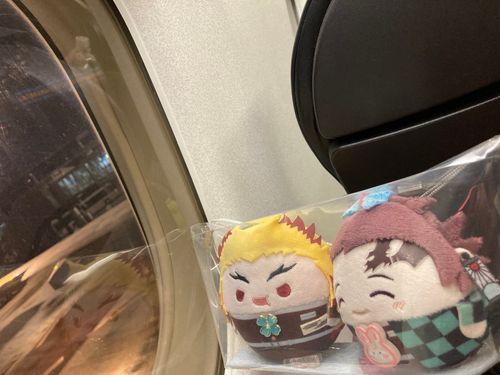 🙋‍♀️
「搭乗完了✌️仙台空港に着くのは21：05の予定です‼️」
長男(っ◜◡◝ｃ)🐰
「行ってきまーす👋」
🙋‍♀️
「お隣チャレンジは成功(空席)‼️」