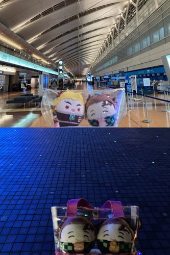 弟ズ(っ◜◡◝ｃ)🧸🐥
「おっきな空港の探検楽しかったです‼️」
🙋‍♀️
「よかった😘私と長男(っ◜◡◝ｃ)🐰は第三ターミナル(&エアポートガーデン)には遊びに行った事あるけど、それより先は今日が初めてだったよ‼️みんなで来れてよかった🫶」