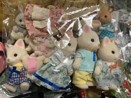 うちにお引越ししてきてもらったよ。後で出してあげるね。