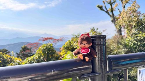 山頂!!頑張ったね(｡-ω-ヾ(>᎑<`๑)