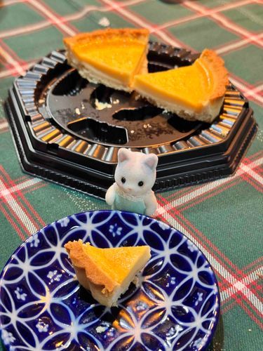 ﾁｰｽﾞｹｰｷ~✨
