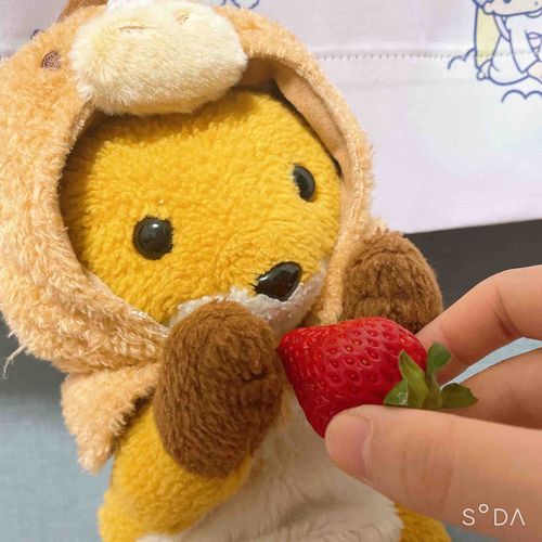 留守番がおおいけど、いちご🍓でゆるす！