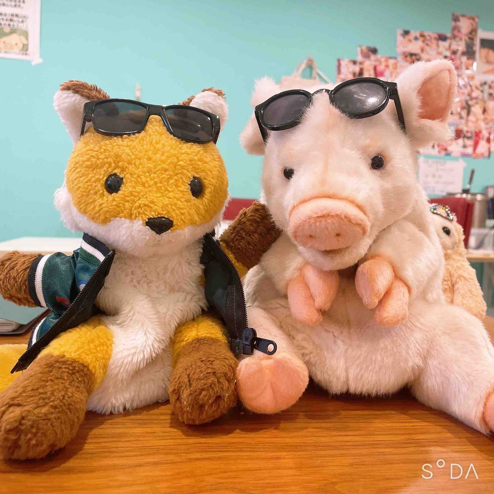 🐷🦊🕶