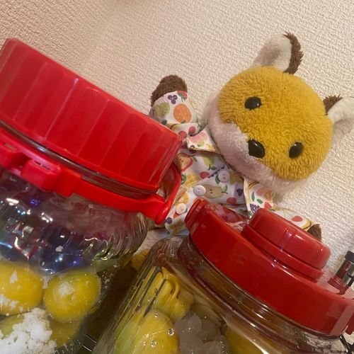 梅シロップと、梅干し作り！！