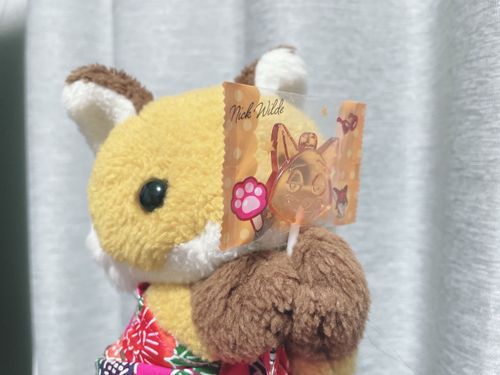 🦊