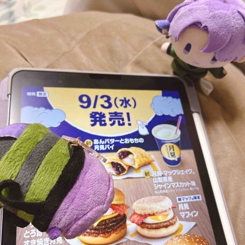 さみもち：ﾜﾝｯ!ﾜﾝﾜﾝｯｯｯ!!!!(かしら！ことしの きごです！！！！！)  
おともさみ：………！(かしらは もちろん はつばいびに たべさせて くれますよね…！)