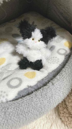 生まれたてのふわふわ