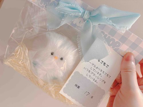 こんにちは。暑い中来てくれてありがとう。これからよろしくね！