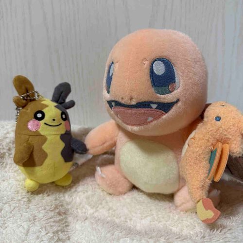 新しくお友達になったヒトカゲ先輩と握手！🤝
拳がおおきいぺこね〜
僕もこのくらい大きくなって強くなりたいぺこ！
よーし！まずはいっぱい食べてすごいとっくんするぺこ！