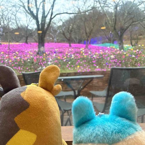 新しいお友達のやんぐみみっちちゃんとおでかけしたぺこ！
ん？右端に誰かうつってるぺこ…？