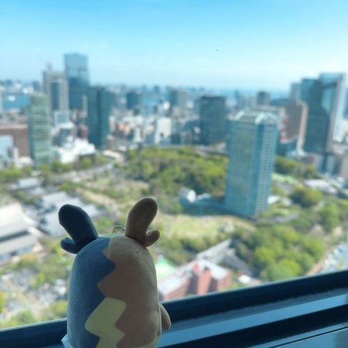 ずいぶんと高いところまでのぼってきたぺこ！
これならどこの地方でもチャンピオンになれるぺこね〜！