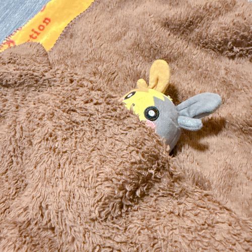 おふろにはいって眠たくなったので
お布団に来たぺこ！！
たくさんのポケモンさんたちに会って、
いっぱい歩いて楽しかったぺこ！
次はどこに遊びにいこうかな〜
まだまだ冒険したいぺこ…💤
