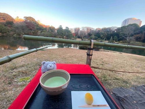 茶しば