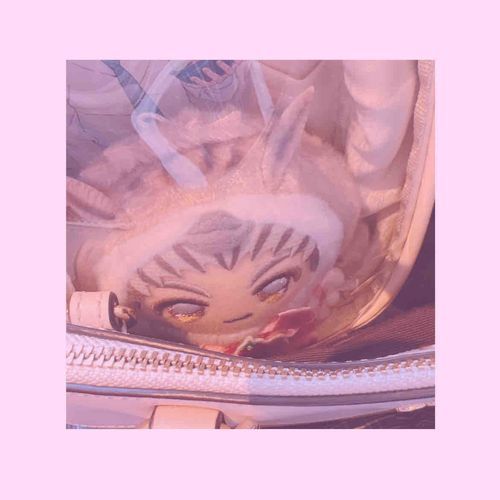 🦉かいぬしせまい！！だして！！

