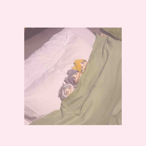🦊ふかふかや！
🦊ちみつむくんもうお眠や
🦉 ねる！！！
(先に寝てていいよ😴)