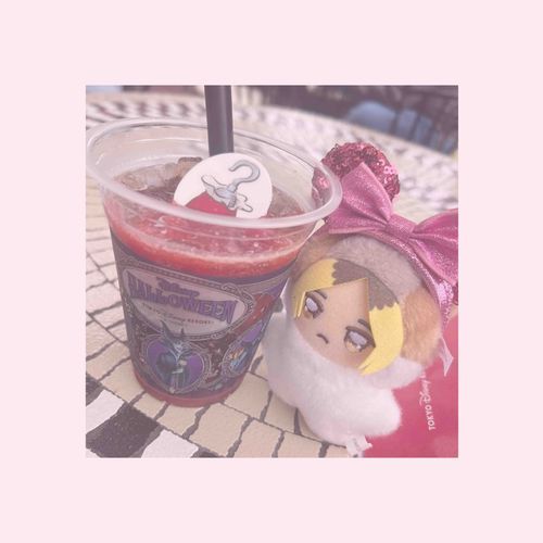 ちみけんまくんお誕生日おめでとう
(今日は夢の国に！ちみけんまくんは1回ここで行方不明になってるのであんまり好きじゃないみたい。)